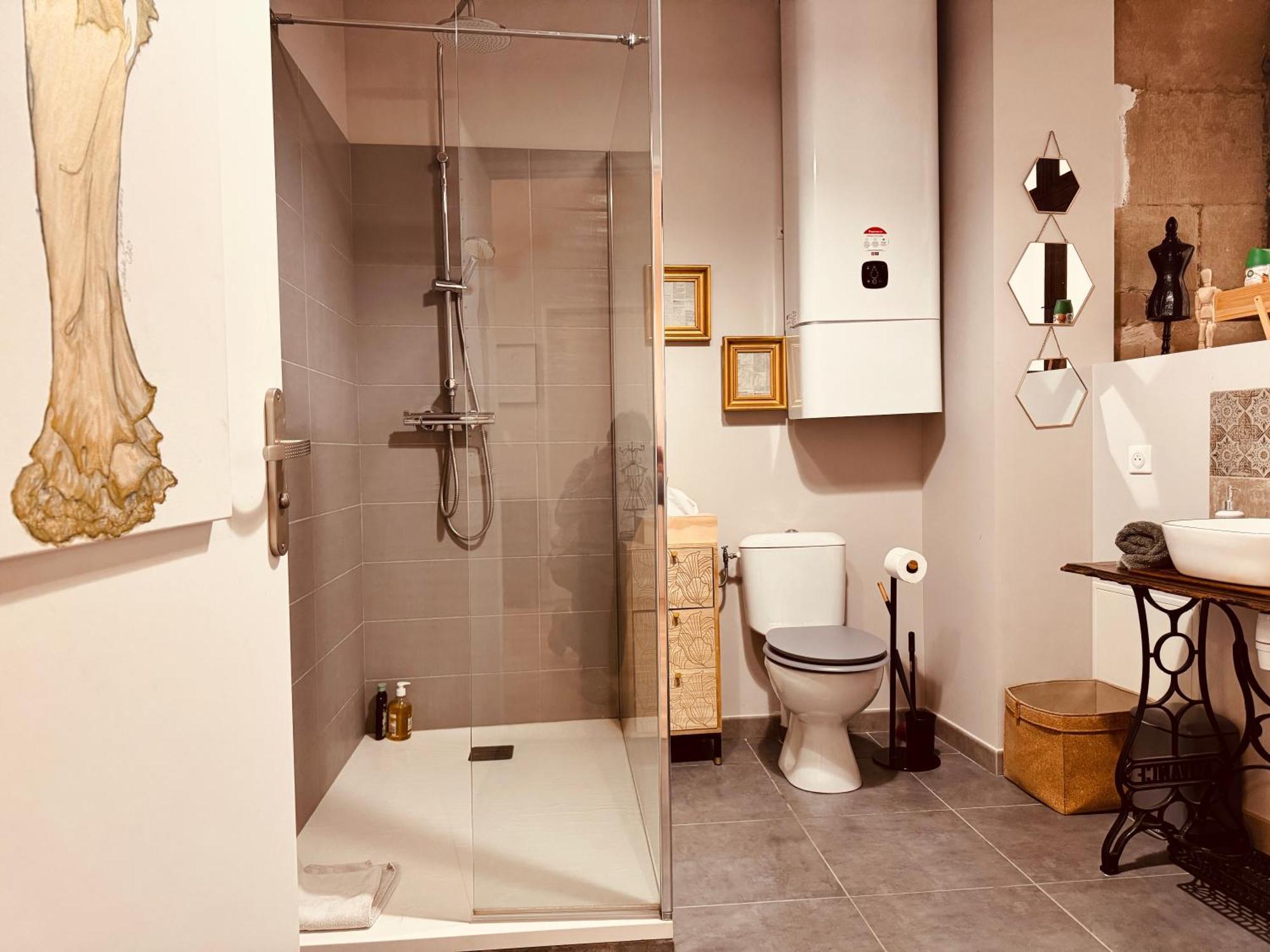 Le Tailleur, Centre Historique, Fibre, Climatisation, Ess, Rez-De-Chaussee, Bedinshop Romans-sur-Isere Ngoại thất bức ảnh